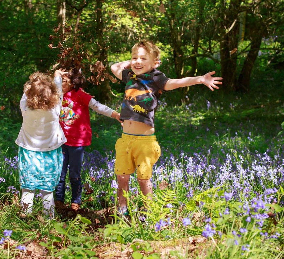 Little Forest Schools
